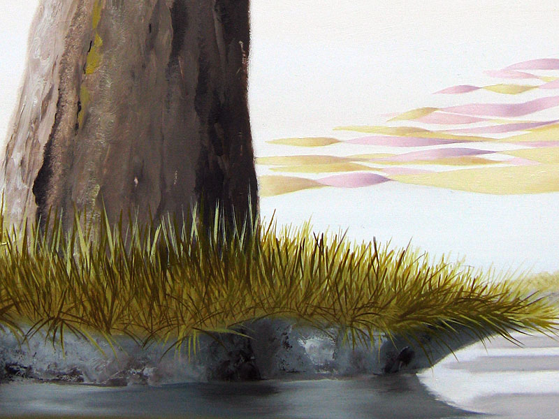 Araucaria living fossil tree columnar trees Arauco Indians central Chile south-west Argentina velum king tide offshore winds migration patricia van lubeck