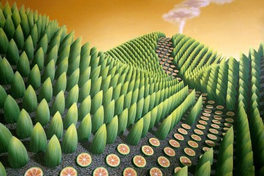 Fargesia Victualia, bamboo shoots by patricia van lubeck