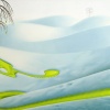 179salix_liquida
