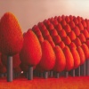 190populus_flucta